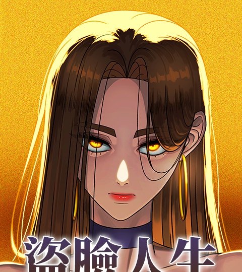 盗脸人生封面